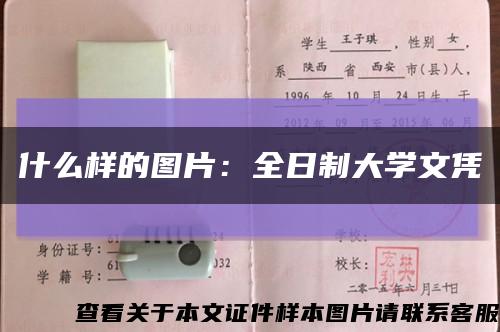 什么样的图片：全日制大学文凭缩略图