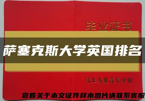 萨塞克斯大学英国排名缩略图