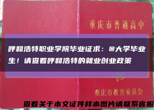 呼和浩特职业学院毕业证求：@大学毕业生！请查看呼和浩特的就业创业政策缩略图
