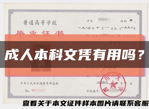 成人本科文凭有用吗？缩略图