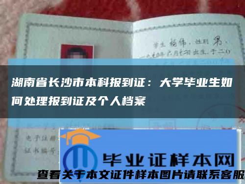湖南省长沙市本科报到证：大学毕业生如何处理报到证及个人档案缩略图