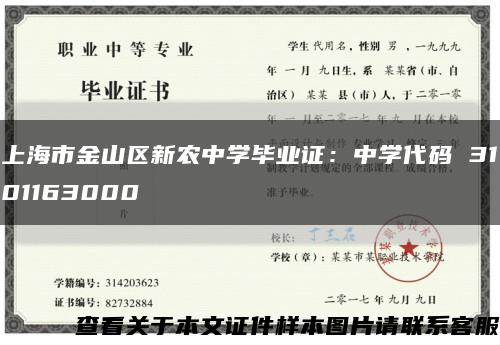 上海市金山区新农中学毕业证：中学代码 3101163000缩略图