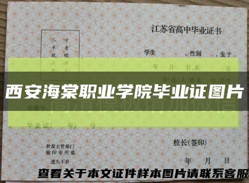 西安海棠职业学院毕业证图片缩略图