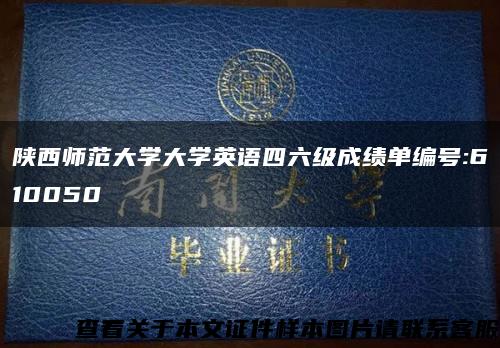 陕西师范大学大学英语四六级成绩单编号:610050缩略图