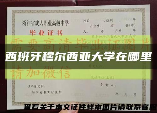 西班牙穆尔西亚大学在哪里缩略图