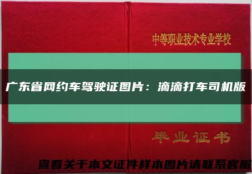 广东省网约车驾驶证图片：滴滴打车司机版缩略图