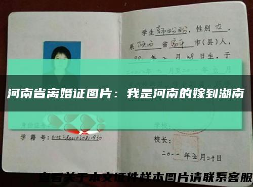 河南省离婚证图片：我是河南的嫁到湖南缩略图