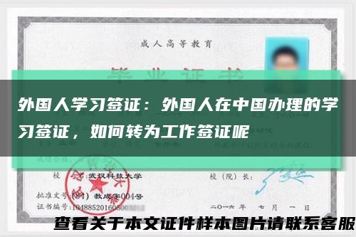 外国人学习签证：外国人在中国办理的学习签证，如何转为工作签证呢缩略图