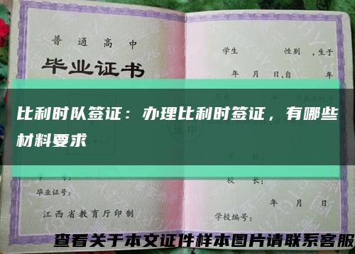 比利时队签证：办理比利时签证，有哪些材料要求缩略图
