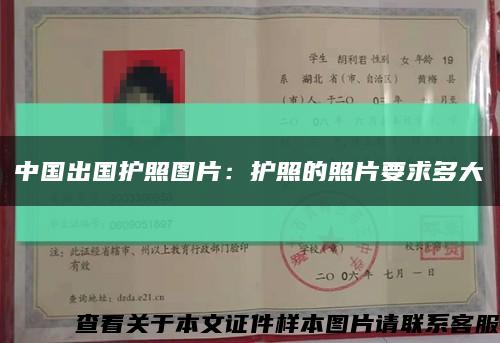中国出国护照图片：护照的照片要求多大缩略图