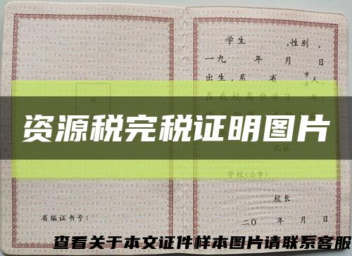 资源税完税证明图片缩略图