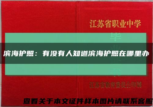 滨海护照：有没有人知道滨海护照在哪里办缩略图