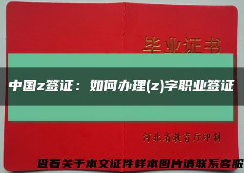 中国z签证：如何办理(z)字职业签证缩略图