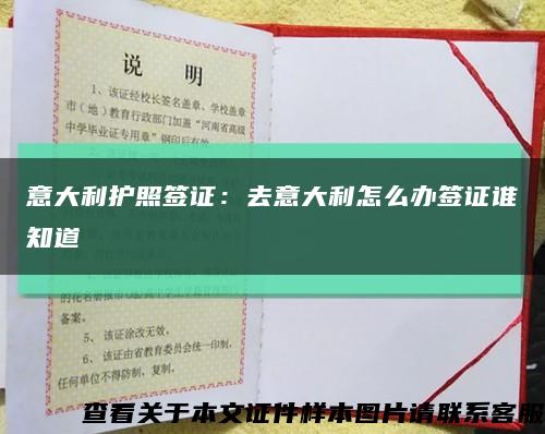 意大利护照签证：去意大利怎么办签证谁知道缩略图