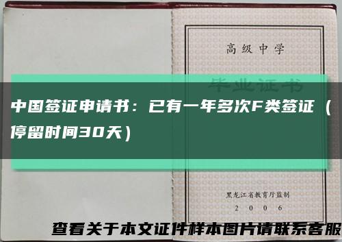 中国签证申请书：已有一年多次F类签证（停留时间30天）缩略图