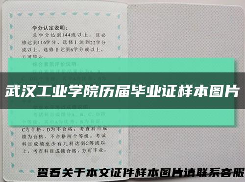 武汉工业学院历届毕业证样本图片缩略图