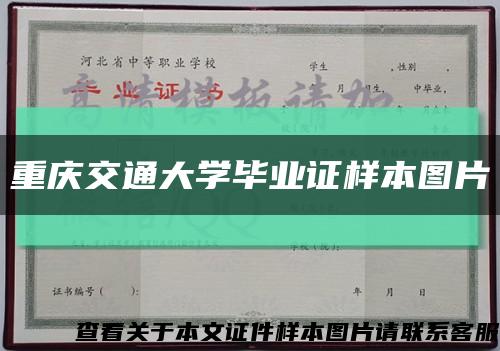 重庆交通大学毕业证样本图片缩略图