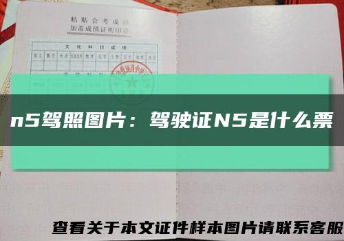 n5驾照图片：驾驶证N5是什么票缩略图
