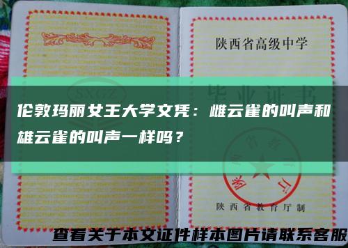 伦敦玛丽女王大学文凭：雌云雀的叫声和雄云雀的叫声一样吗？缩略图