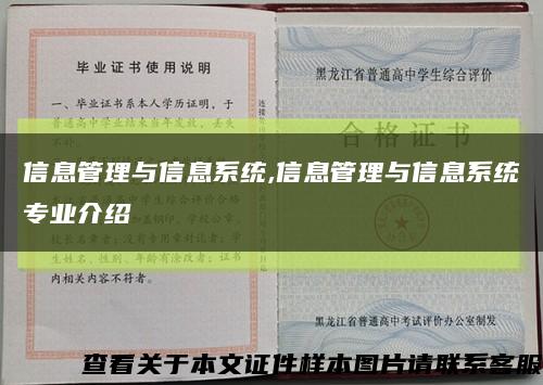 信息管理与信息系统,信息管理与信息系统专业介绍缩略图