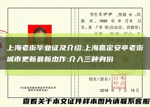 上海老街毕业证及介绍:上海嘉定安亭老街城市更新最新杰作:介入三种身份缩略图