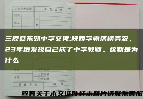 三原县东郊中学文凭:陕西学霸落榜务农，23年后发现自己成了中学教师。这就是为什么缩略图