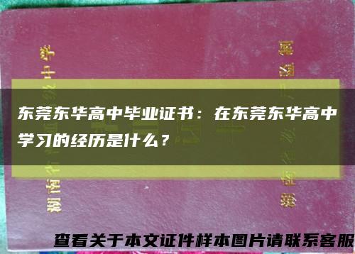东莞东华高中毕业证书：在东莞东华高中学习的经历是什么？缩略图