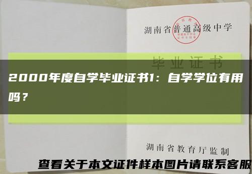 2000年度自学毕业证书1：自学学位有用吗？缩略图
