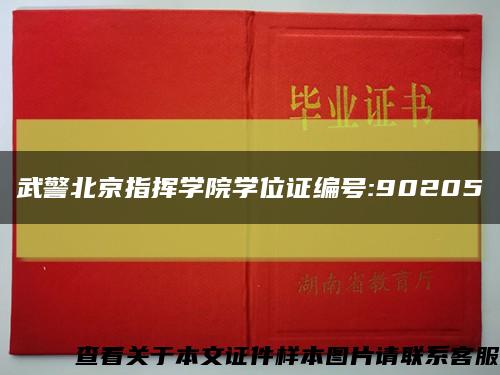 武警北京指挥学院学位证编号:90205缩略图