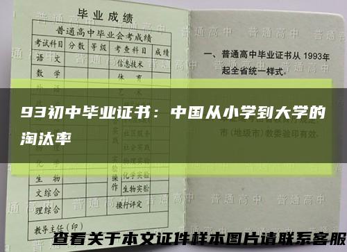 93初中毕业证书：中国从小学到大学的淘汰率缩略图