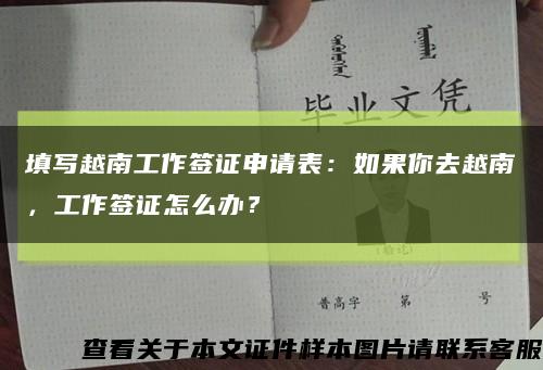 填写越南工作签证申请表：如果你去越南，工作签证怎么办？缩略图