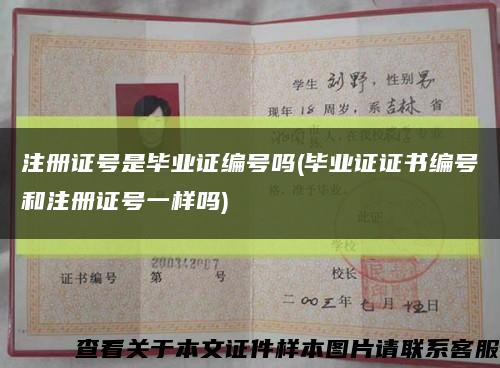 注册证号是毕业证编号吗(毕业证证书编号和注册证号一样吗)缩略图