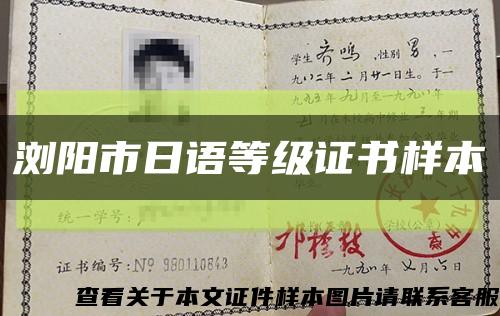 浏阳市日语等级证书样本缩略图
