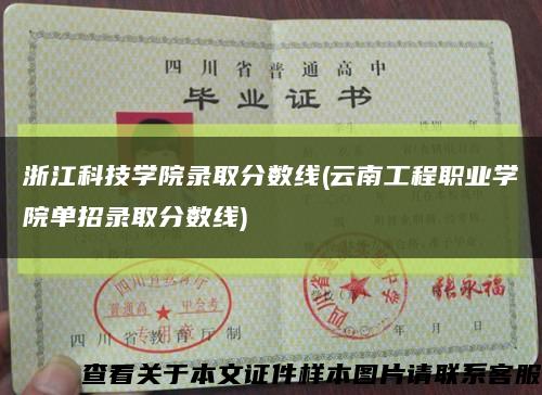 浙江科技学院录取分数线(云南工程职业学院单招录取分数线)缩略图