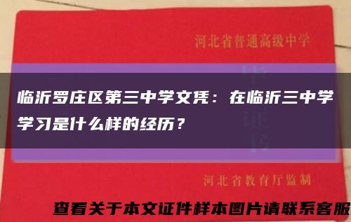 临沂罗庄区第三中学文凭：在临沂三中学学习是什么样的经历？缩略图
