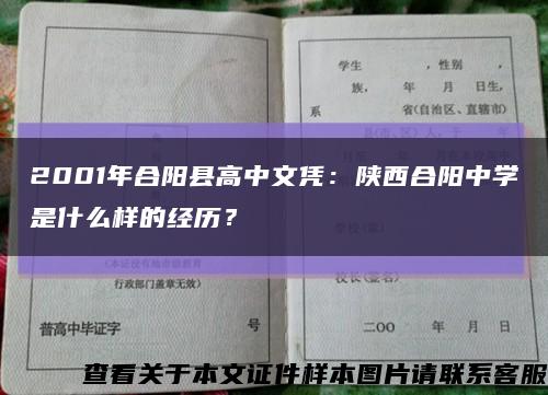 2001年合阳县高中文凭：陕西合阳中学是什么样的经历？缩略图