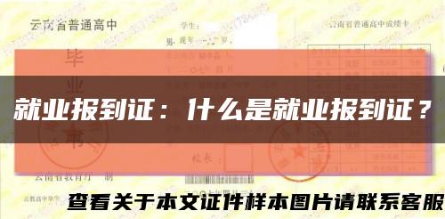 就业报到证：什么是就业报到证？缩略图