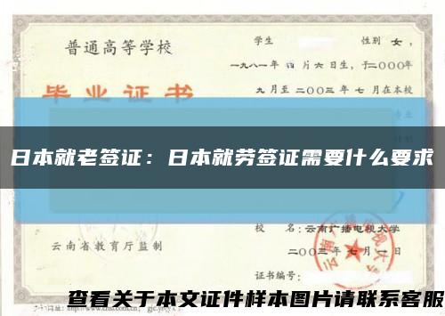 日本就老签证：日本就劳签证需要什么要求缩略图