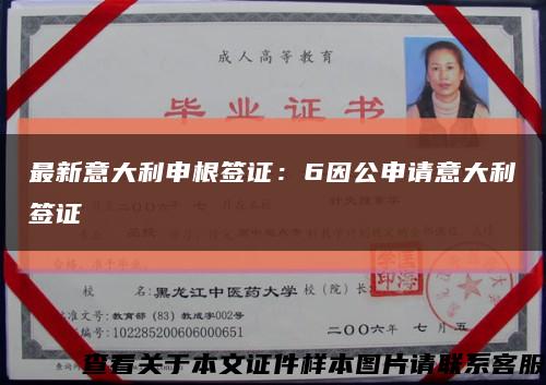 最新意大利申根签证：6因公申请意大利签证缩略图