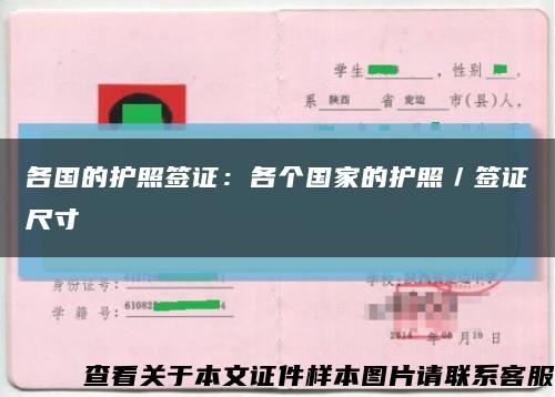 各国的护照签证：各个国家的护照／签证尺寸缩略图