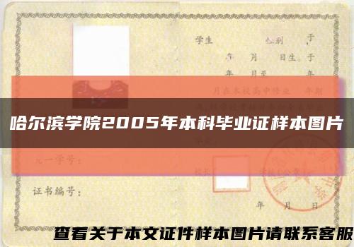 哈尔滨学院2005年本科毕业证样本图片缩略图