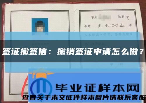 签证撤签信：撤销签证申请怎么做？缩略图