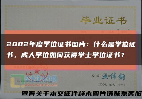 2002年度学位证书图片：什么是学位证书，成人学位如何获得学士学位证书？缩略图