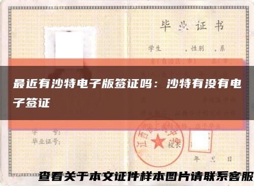 最近有沙特电子版签证吗：沙特有没有电子签证缩略图