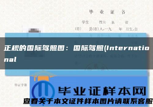正规的国际驾照图：国际驾照(International缩略图