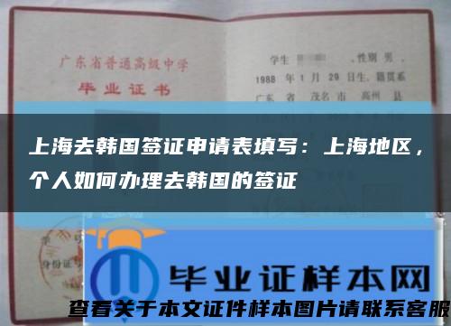 上海去韩国签证申请表填写：上海地区，个人如何办理去韩国的签证缩略图
