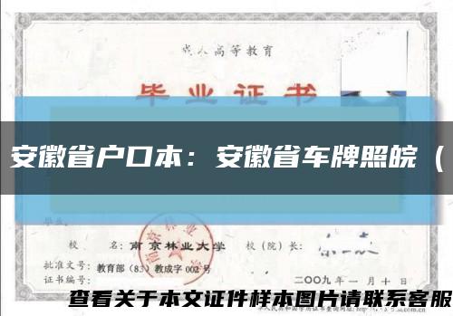 安徽省户口本：安徽省车牌照皖（缩略图