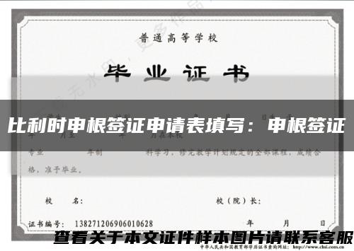 比利时申根签证申请表填写：申根签证缩略图