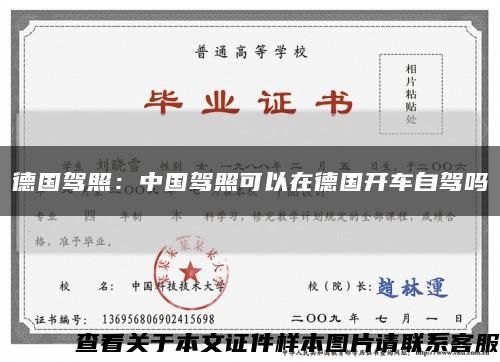 德国驾照：中国驾照可以在德国开车自驾吗缩略图