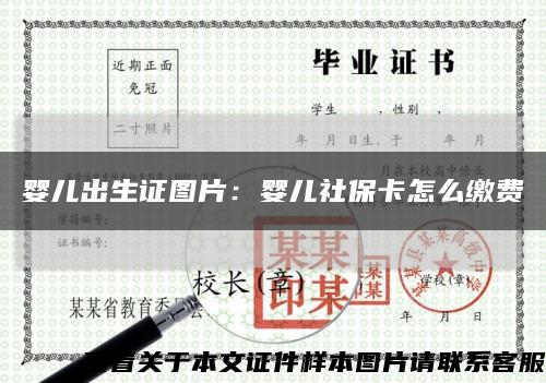 婴儿出生证图片：婴儿社保卡怎么缴费缩略图